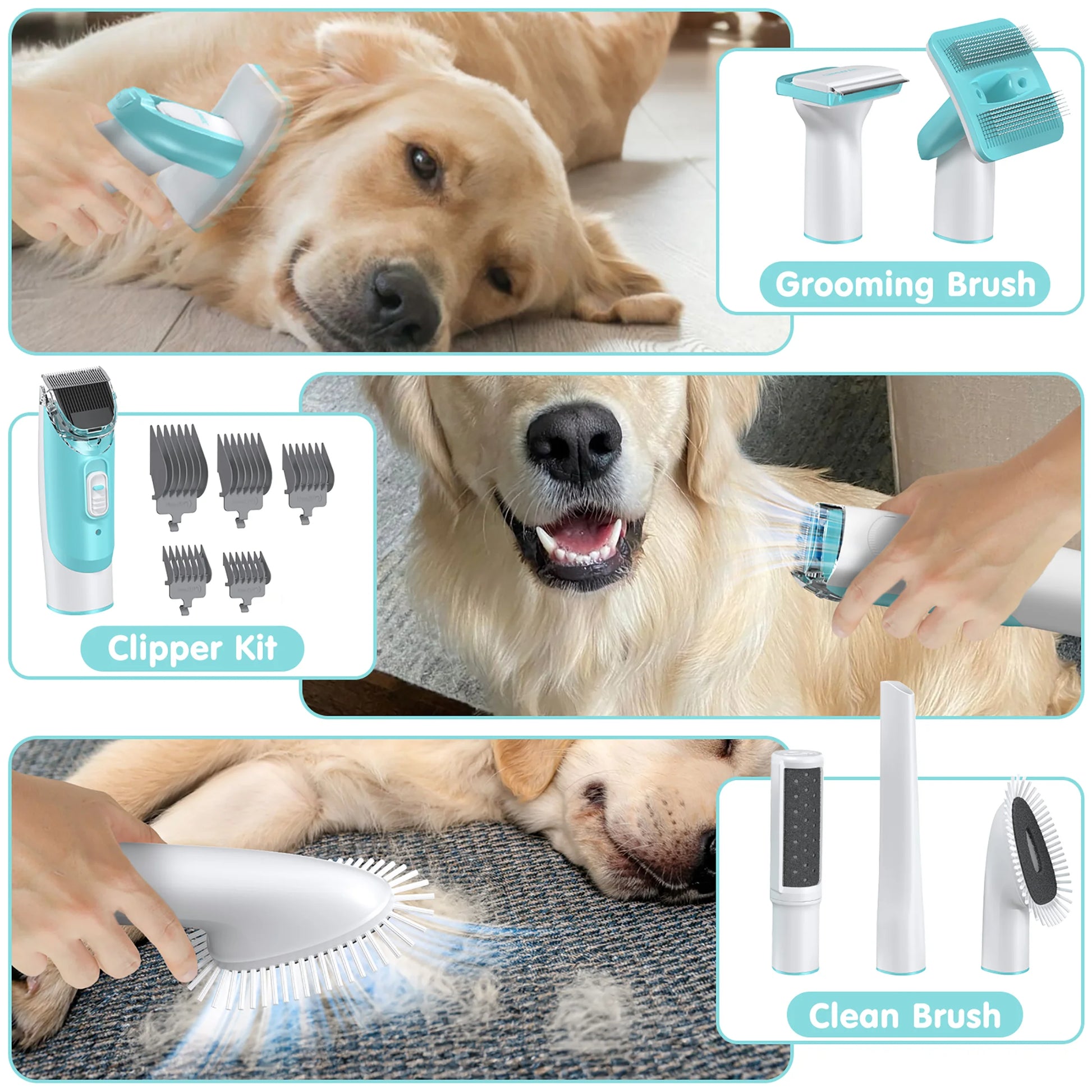 EVLIVE Professional 6-In-1 Dog Grooming Vacuum Kit - 11000PA High Suction & 1.5L Large Capacity | 99% Hair Removal with Complete Grooming Tools | High Suction Pet Vacuum for Professional Grooming