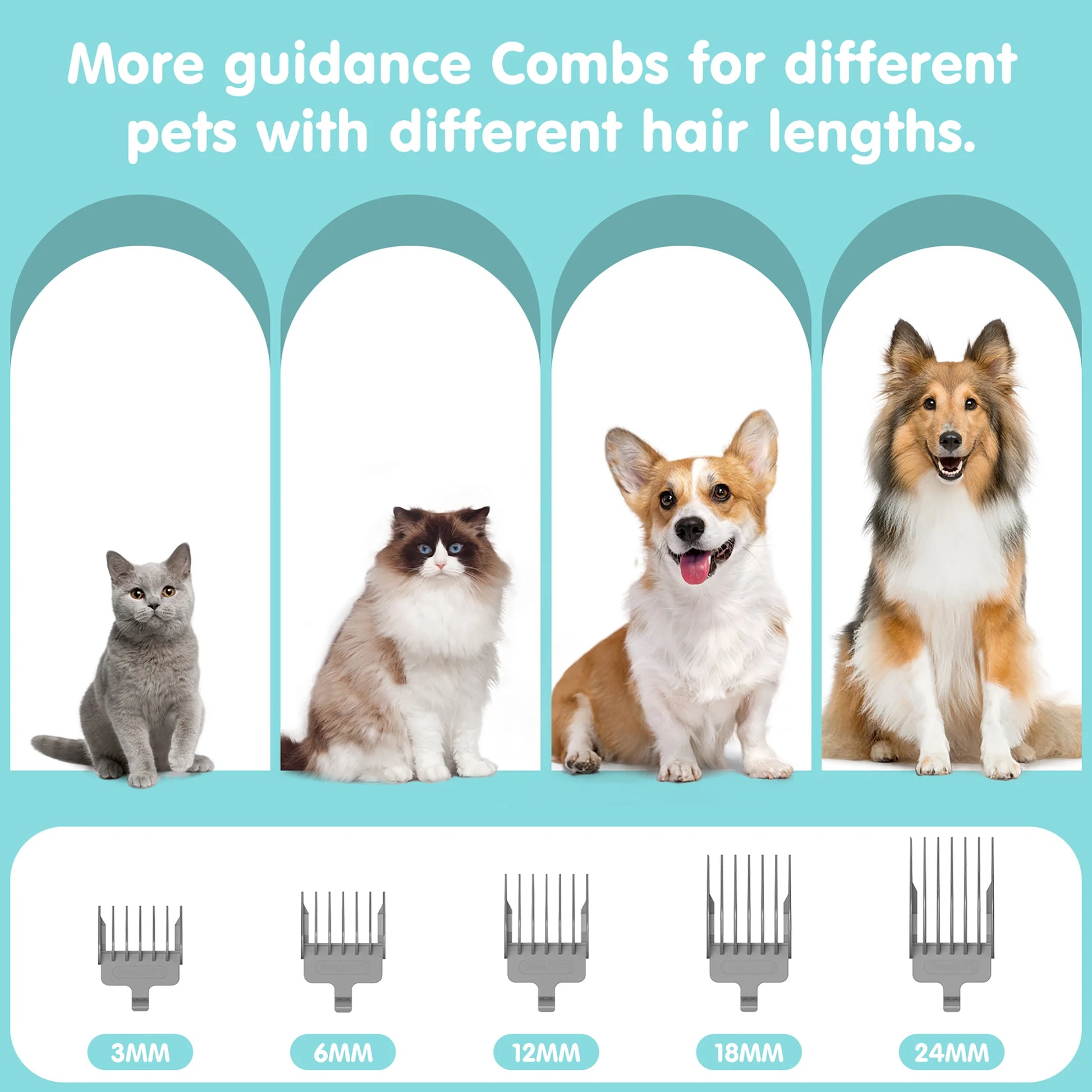 EVLIVE Professional 6-In-1 Dog Grooming Vacuum Kit - 11000PA High Suction & 1.5L Large Capacity | 99% Hair Removal with Complete Grooming Tools | High Suction Pet Vacuum for Professional Grooming