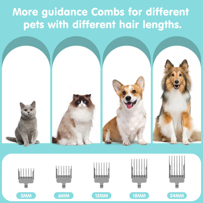 EVLIVE Professional 6-In-1 Dog Grooming Vacuum Kit - 11000PA High Suction & 1.5L Large Capacity | 99% Hair Removal with Complete Grooming Tools | High Suction Pet Vacuum for Professional Grooming