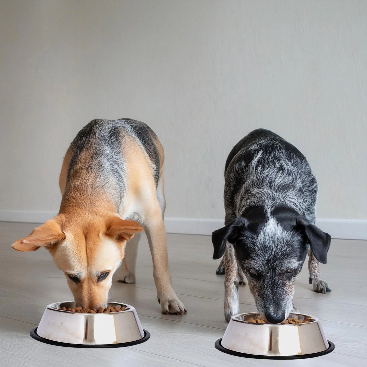 2-Pack Stainless Steel Non-Skid Pet Bowl for Dog or Cat, 24 Oz, 3 Cup