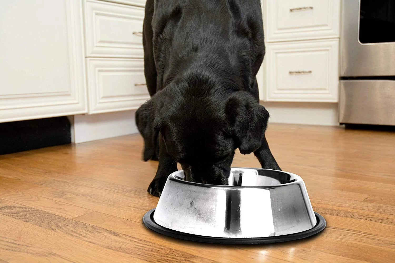 2-Pack Stainless Steel Non-Skid Pet Bowl for Dog or Cat, 24 Oz, 3 Cup