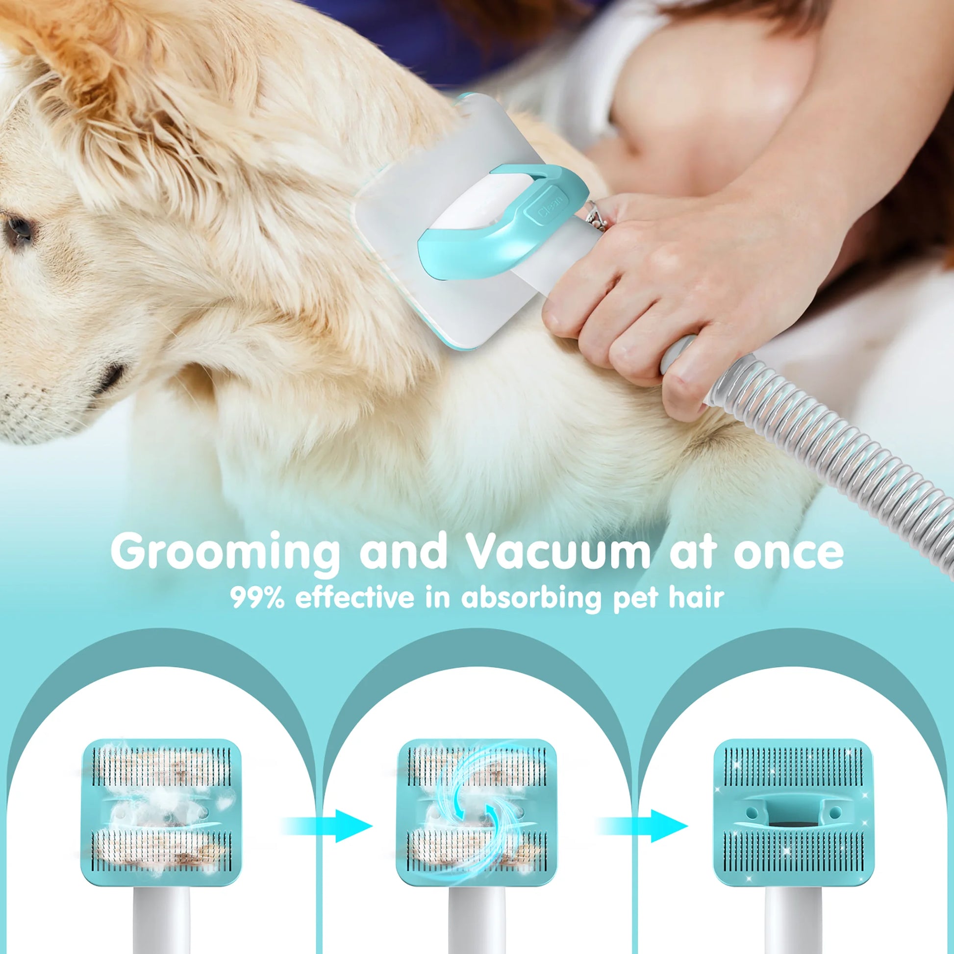 EVLIVE Professional 6-In-1 Dog Grooming Vacuum Kit - 11000PA High Suction & 1.5L Large Capacity | 99% Hair Removal with Complete Grooming Tools | High Suction Pet Vacuum for Professional Grooming